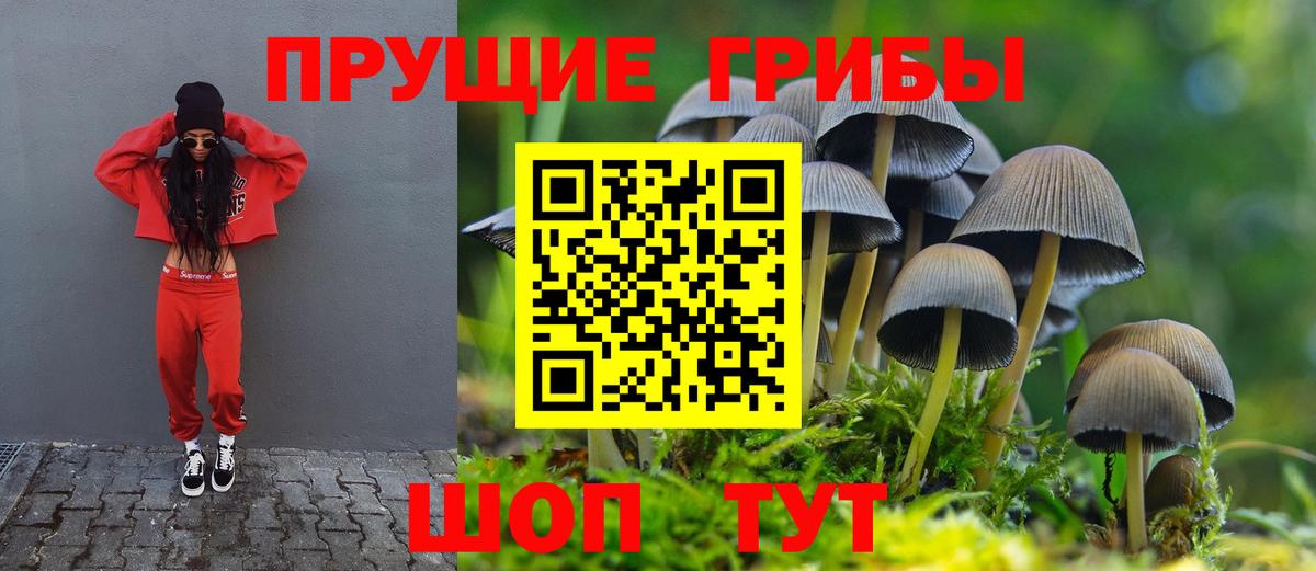 Псилоцибиновые грибы Magic Shrooms  цена наркотик  Еманжелинск  Вход с VPN 